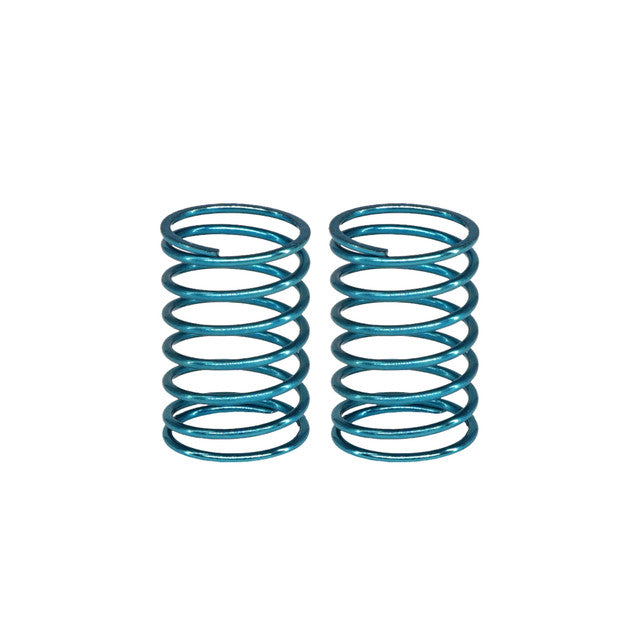 eXcelerate On-Road Rear Springs (2)