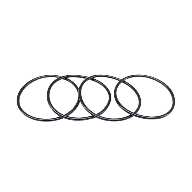 Battery Hold Down O-Ring (4)