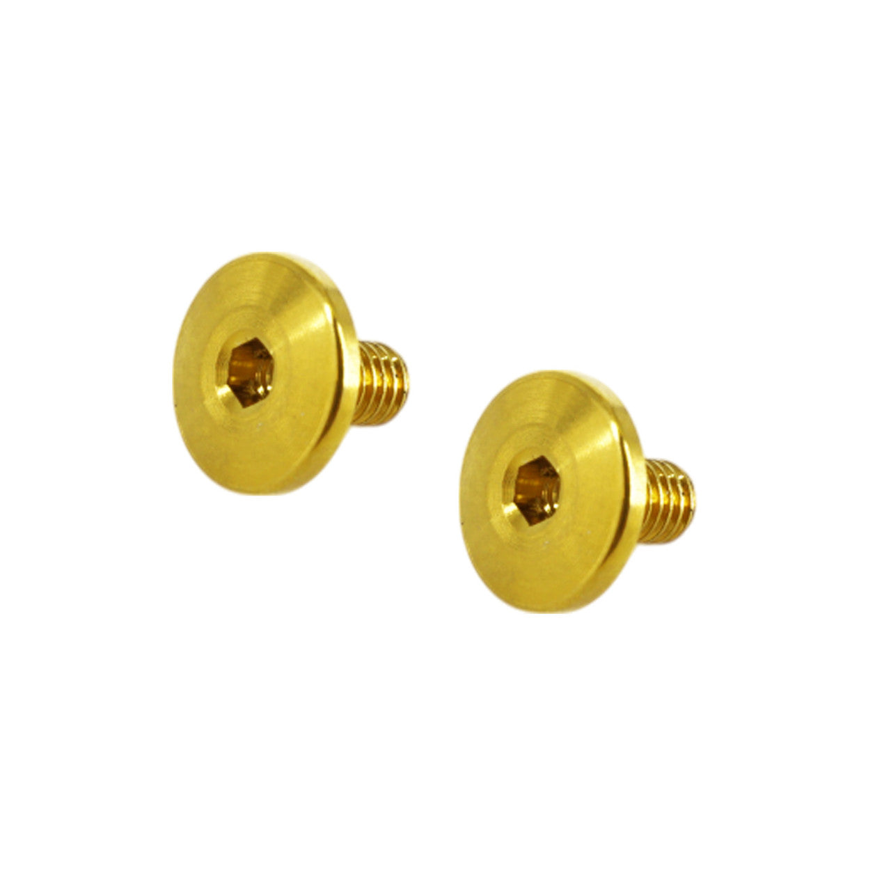 Titanium Kingpin Screws (2)